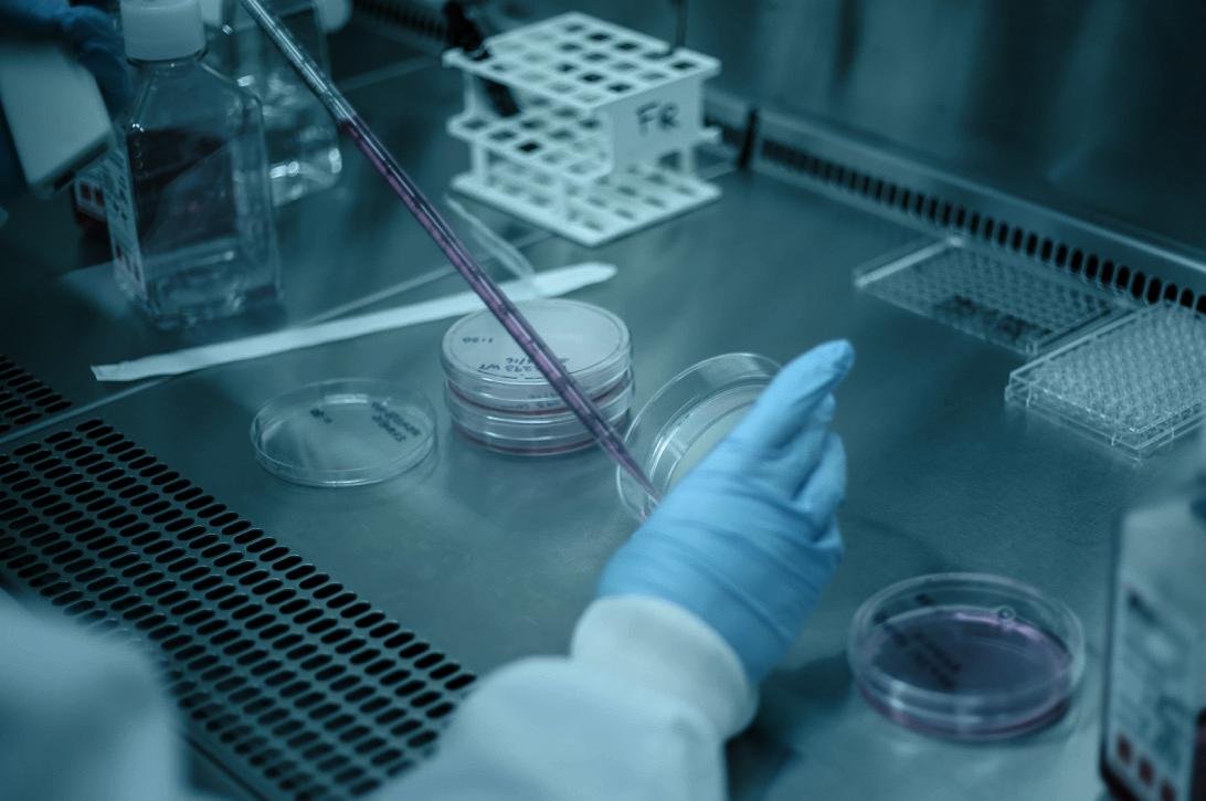 Paillasse de bacteriologie avec boites de Petri et pipette