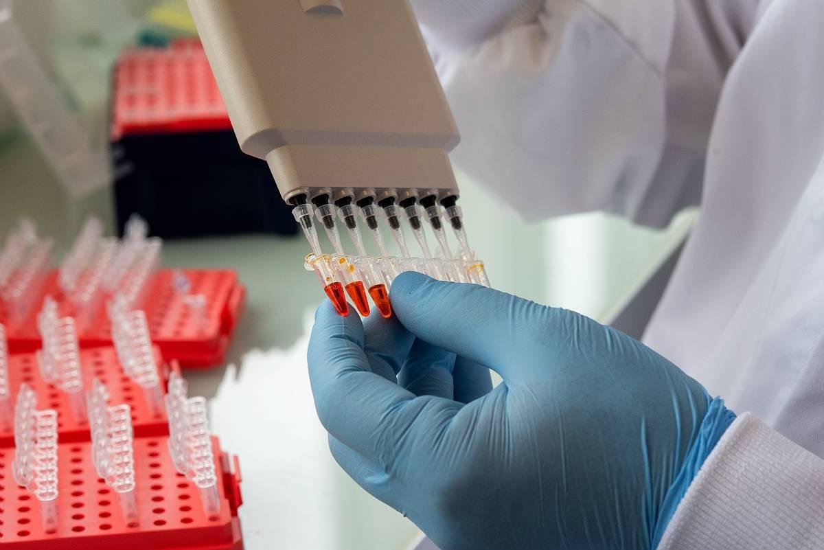 Pipette multicanaux au-dessus de portoirs de tubes
